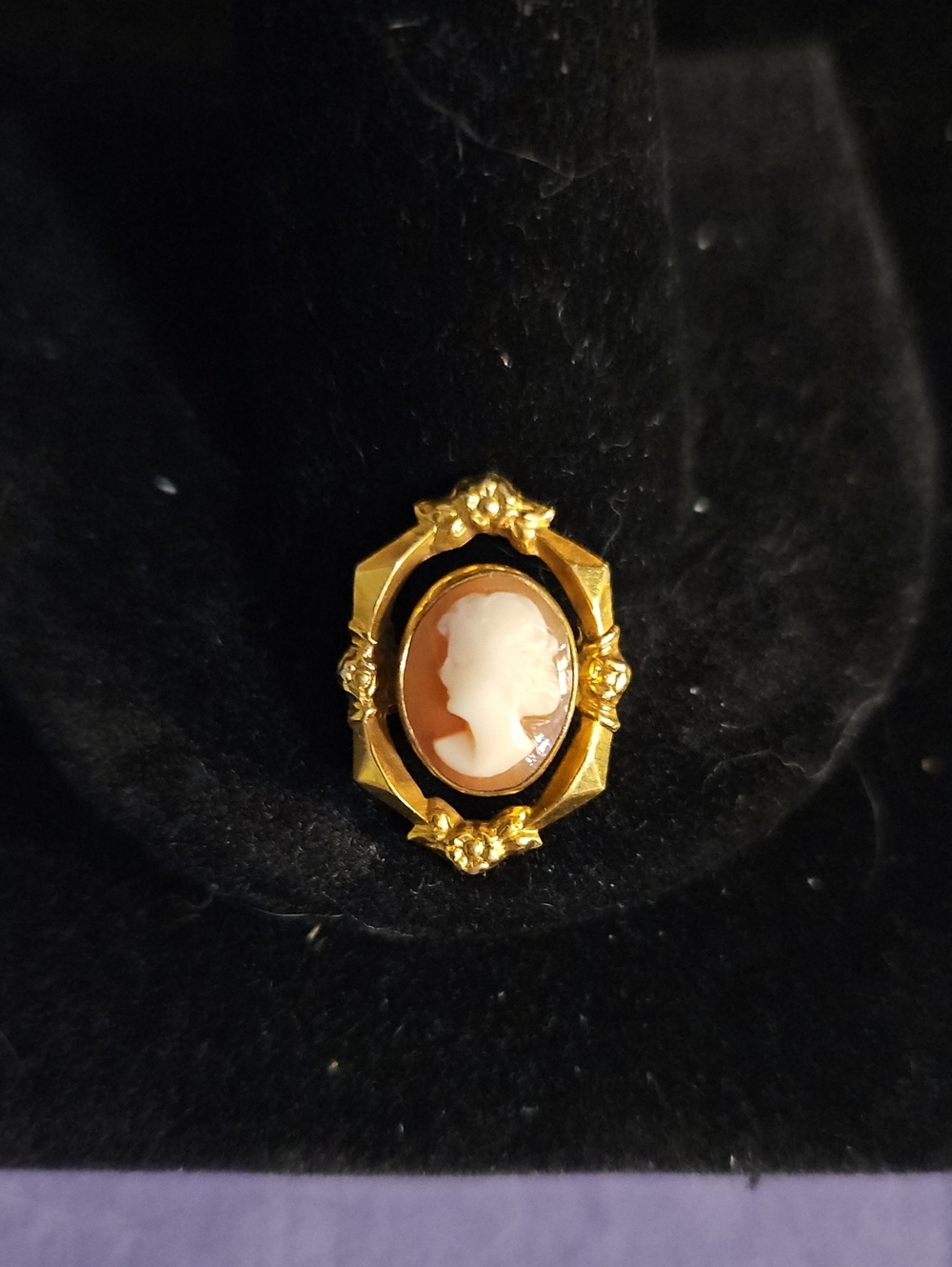 Vintage Gold Cameo Brooch - White & Brown